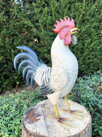 Sculpture, Schitterende haan - 39 cm - Fer