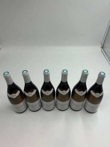 2020 Didier Fornerol, Côtes de Nuits-Villages - Bourgogne -, Verzamelen, Wijnen, Nieuw
