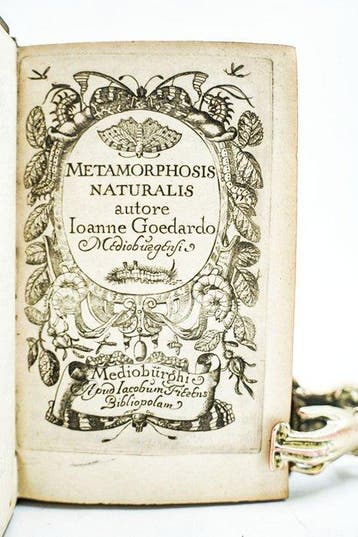 Jan Goedart - Metamorphosis et Historia Naturalis Insectorum