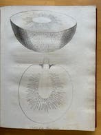 Bligh William - A Voyage to the South Sea - 1792