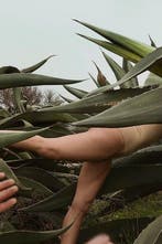 Carla Sutera Sardo - Natural flow