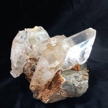 Gypse (var. Sélénite) sur Pyrite Cristaux sur matrice -