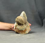 Nieuwsgierigheid: Wanneer fossielen mineralen ontmoeten -, Verzamelen, Mineralen en Fossielen