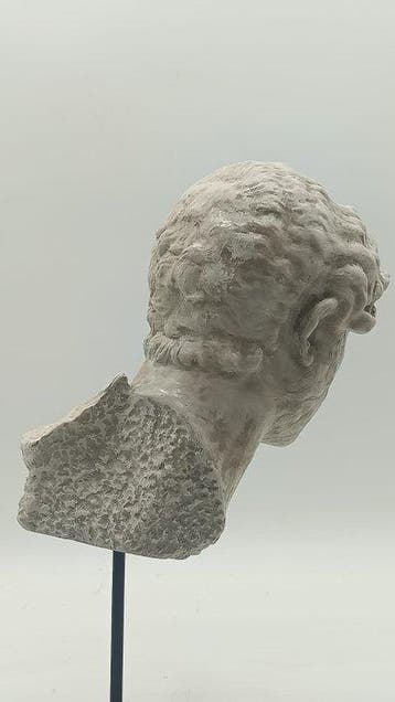 sculptuur, Adriano - 38 cm - marmerpoeder