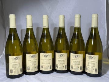 2024 Louis Jadot Couvent des Jacobins - Bourgondië - 6, Nieuw