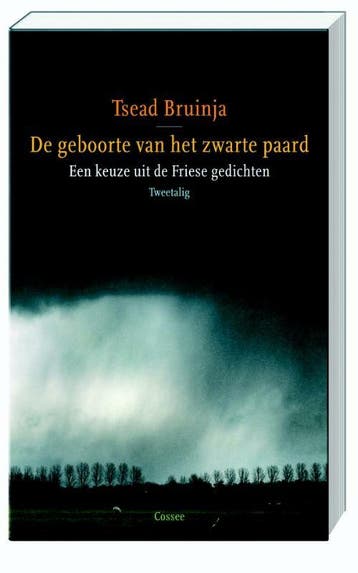 De geboorte van het zwarte paard 9789059362048 Tsead Bruinja, Verzenden, Zo goed als nieuw, Tsead Bruinja