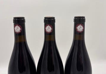 2022 Simon Bize & Fils - Savigny lès Beaune - 3 Bouteilles, Nieuw