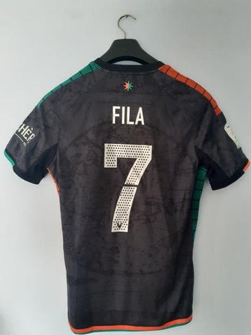 Venezia - Italiaanse voetbal competitie - Daniel Fila -, Nieuw
