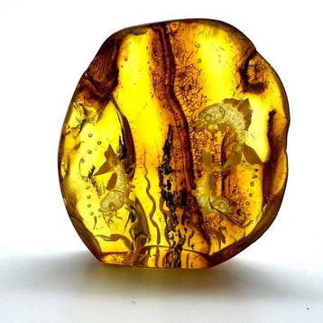 Gegraveerde natuurlijke hele Baltische amber cabochon van 4