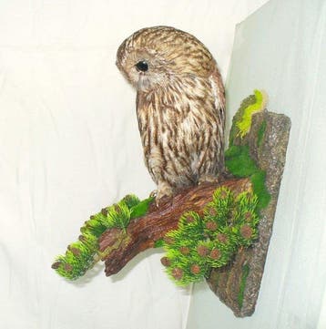 hibou moyen-duc Support de corps entier pour taxidermie -, Nieuw