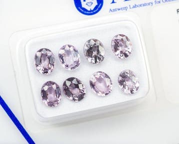 Zonder minimumprijs - 8 pcs Spinel - 3.10 ct - Antwerp, Nieuw