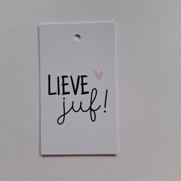 3x Cadeaulabel  Lieve Juf!  (Per 3 stuks, Cadeaulabels), Verzenden, Nieuw