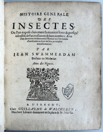 Jan Swammerdam - Histoire Generale des Insectes - 1682