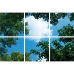 Wolk-bos plafond Fotoprint verdeeld over 6 panelen 60x60cm, Verzenden, Nieuw