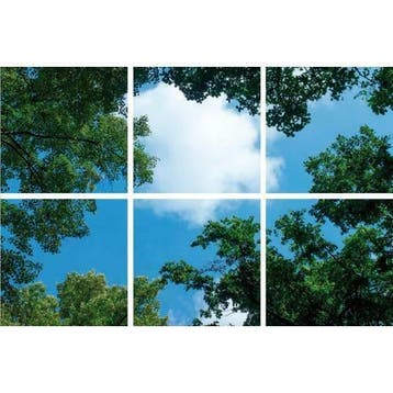 Wolk-bos plafond Fotoprint verdeeld over 6 panelen 60x60cm, Verzenden, Nieuw