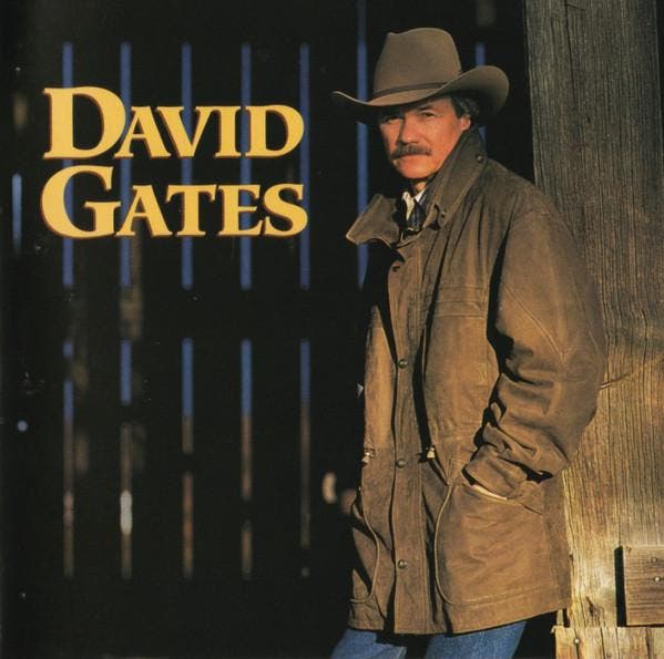 David Gates - Love Is Always Seventeen, Cd's en Dvd's, Cd's | Pop, Gebruikt, Verzenden