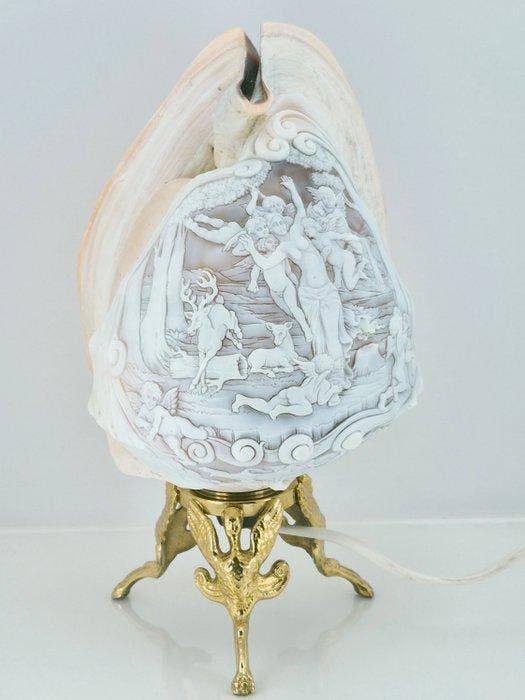 Lamp - Cassis madagascariensis, Antiquités & Art, Curiosités & Brocante