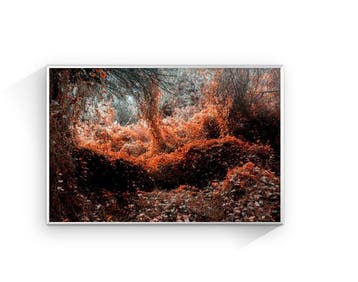 Susana Galbis - Emotional forest - XL