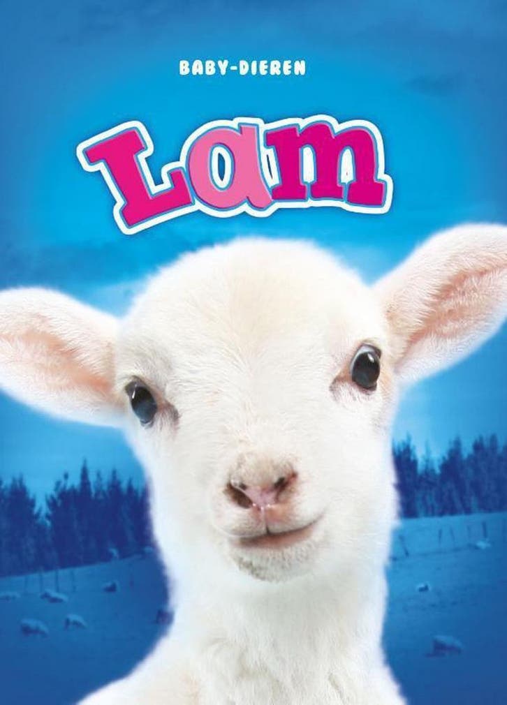 Lam / Baby-dieren 9789463411707 Christina Leaf, Livres, Livres pour enfants | Jeunesse | 10 à 12 ans, Envoi