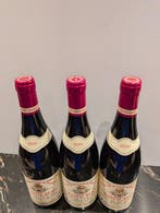 2010 Chantal Remy Clos de la Roche - Bourgogne Grand Cru - 3, Verzamelen, Nieuw