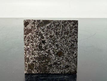 TANEZROUFT 091 météorite mésosidérite Nouvelle