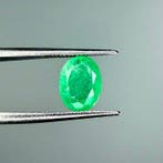 Zonder minimumprijs Groen Smaragd - 1.64 ct - International, Nieuw