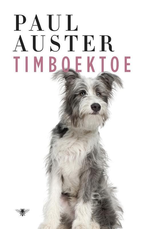 Timboektoe 9789023493679 Paul Auster, Livres, Romans, Envoi