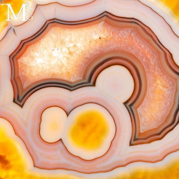 Très exclusif - Tranche dagate polychrome - Géode de, Collections, Minéraux & Fossiles