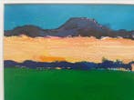 Pieter Vierhout (1957) - Landschap