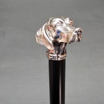 Canne de marche - Bois, Argent - Canne en argent sterling, Antiquités & Art