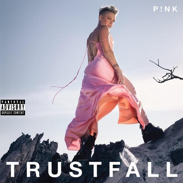 P!NK - Trustfall, CD & DVD, CD | Pop, Envoi