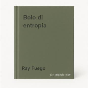 Bolo di entropia 9789038816319 Ray Fuego, Verzenden, Ray Fuego