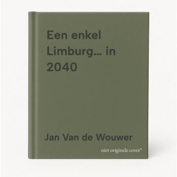 Een enkel Limburg… in 2040 9789074237383 Jan Van de Wouwer, Livres, Science, Verzenden, Jan Van de Wouwer