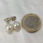 Zonder minimumprijs - Oorbellen Zilver Parel - Southsea RD Ø, Handtassen en Accessoires, Oorbellen, Nieuw