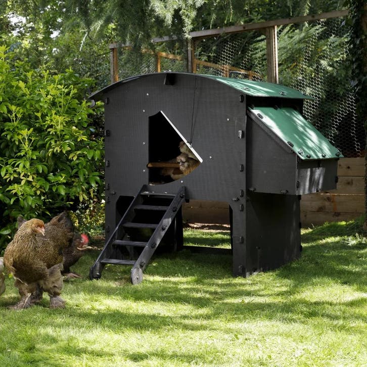 Nestera Hoog model, Large, Dieren en Toebehoren, Pluimvee | Toebehoren