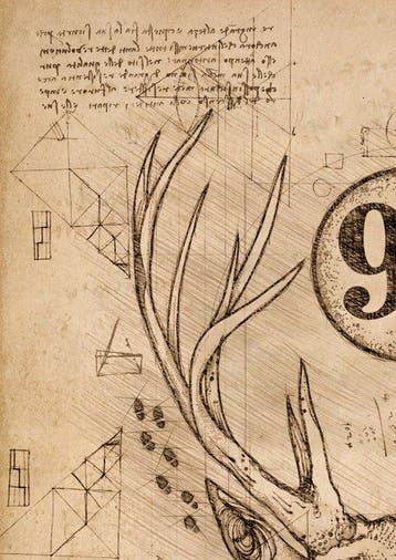 Boriani - Harry Potter, Da Vinci Series - limited edition