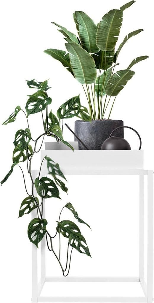 Plantenstandaard - Plantenrek - Plantentafel - 35x35x46 cm -, Tuin en Terras, Bloembakken en Plantenbakken, Nieuw, Verzenden