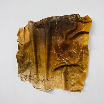 Soyz Bank (1988) - SUPRA Gold – Aged Texture