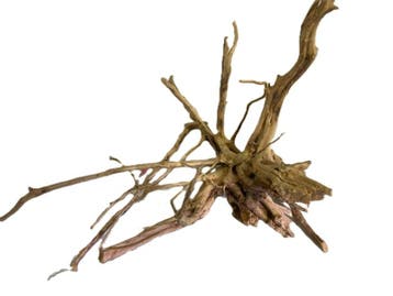 Driftwood Selected  DW42 -50x40x30cm (Small drift wood), Ophalen of Verzenden, Nieuw, Plant(en), Steen of Hout