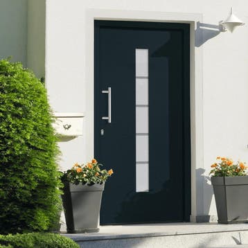 vidaXL Voordeur 100x210 cm aluminium en PVC antraciet, Verzenden