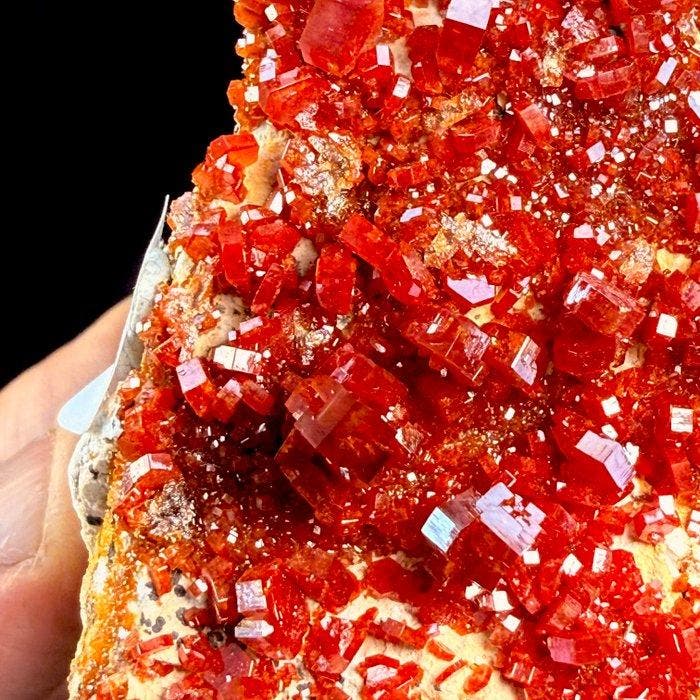 vanadinite prachtige groep kristallen die perfect zeshoekig, Verzamelen, Mineralen en Fossielen