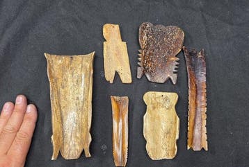 Set of cow bone 6 Ikhoka of Pende - RD Congo and 1 from