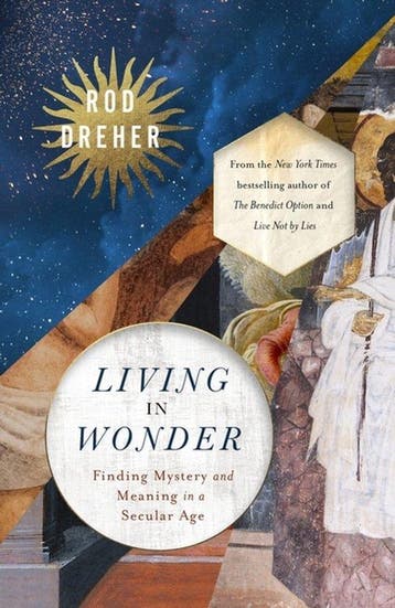 Living in Wonder 9781399807869 Rod Dreher, Verzenden, Zo goed als nieuw, Rod Dreher
