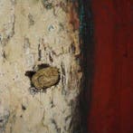 Schild (1) - Guinee - 1930-1940