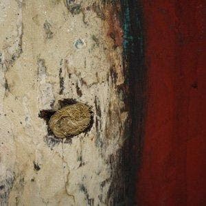 Schild (1) - Guinee - 1930-1940, Antiquités & Art, Art | Art non-occidental