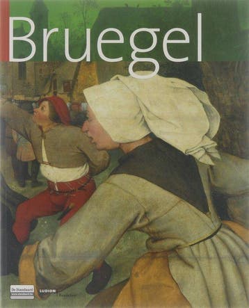 Bruegel 9789055446322 Matthijs Ilsink, Boeken, Verzenden, Zo goed als nieuw, Matthijs Ilsink