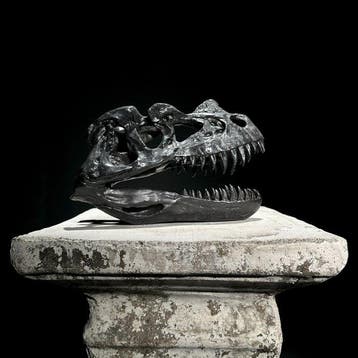 Sculpture, NO RESERVE PRICE - A Replica of Dinosaur Skull -