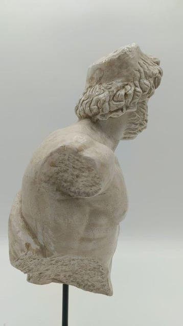 sculptuur, Busto di Asclepio - 41 cm - marmerstof