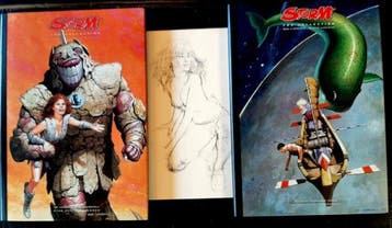 Storm 4 & 5 - The Collection - 2 Album - Eerste druk - 2001, Boeken, Stripverhalen, Nieuw