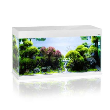 Osaka OptiSet 100 cm Wit (Aquaria & meubels), Animaux & Accessoires, Ophalen of Verzenden, Leeg aquarium